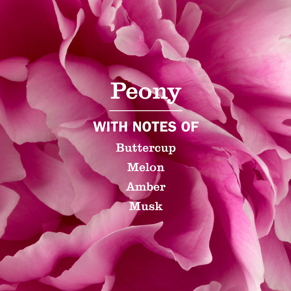 Peony Multi-Surface Everyday Cleaner - View 4