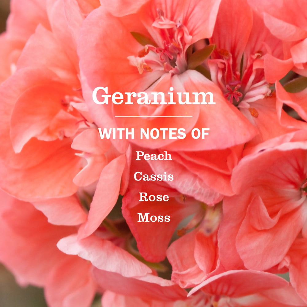 Geranium Room Freshener - View 4