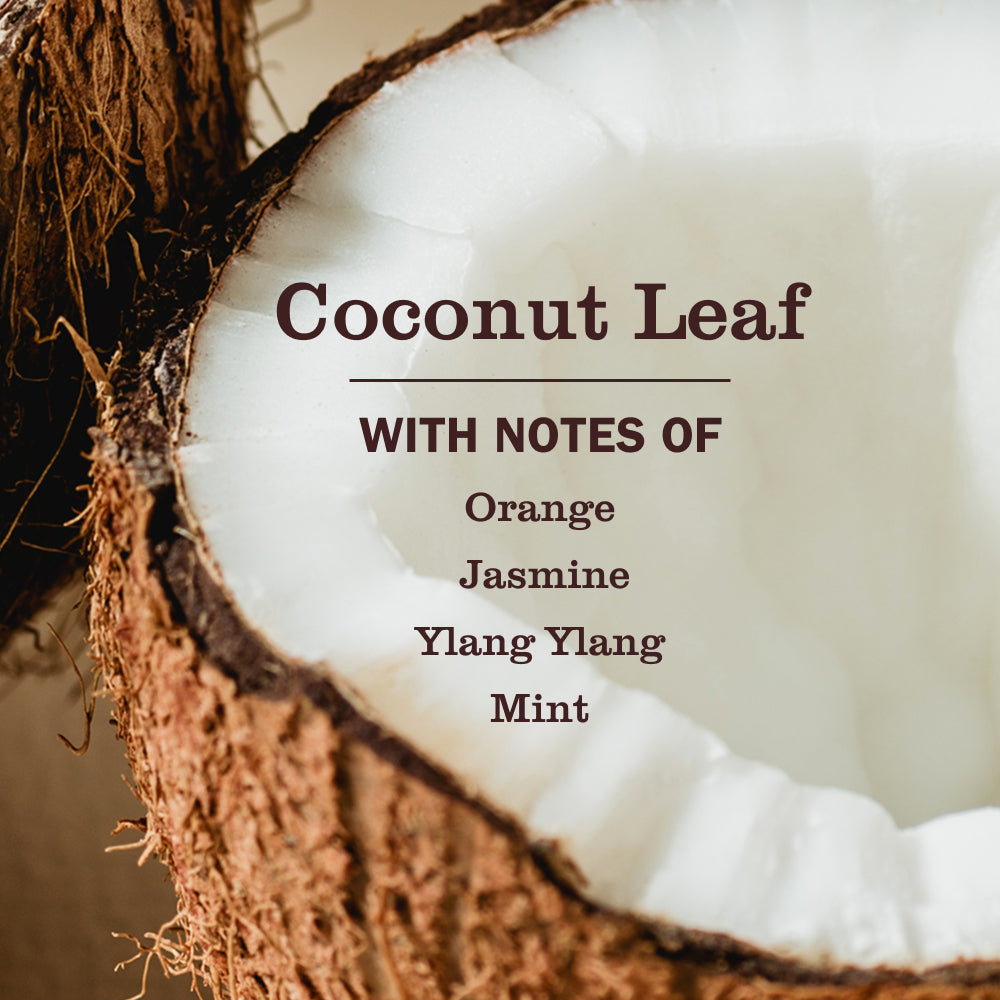 Coconut Leaf Pet Odor Neutralizer - View 3