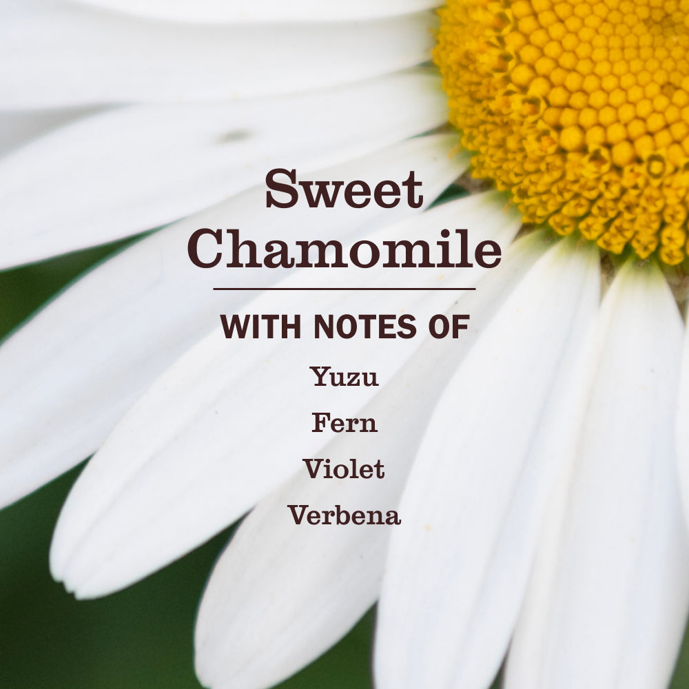 Sweet Chamomile 3-in-1 Dog Shampoo - View 3