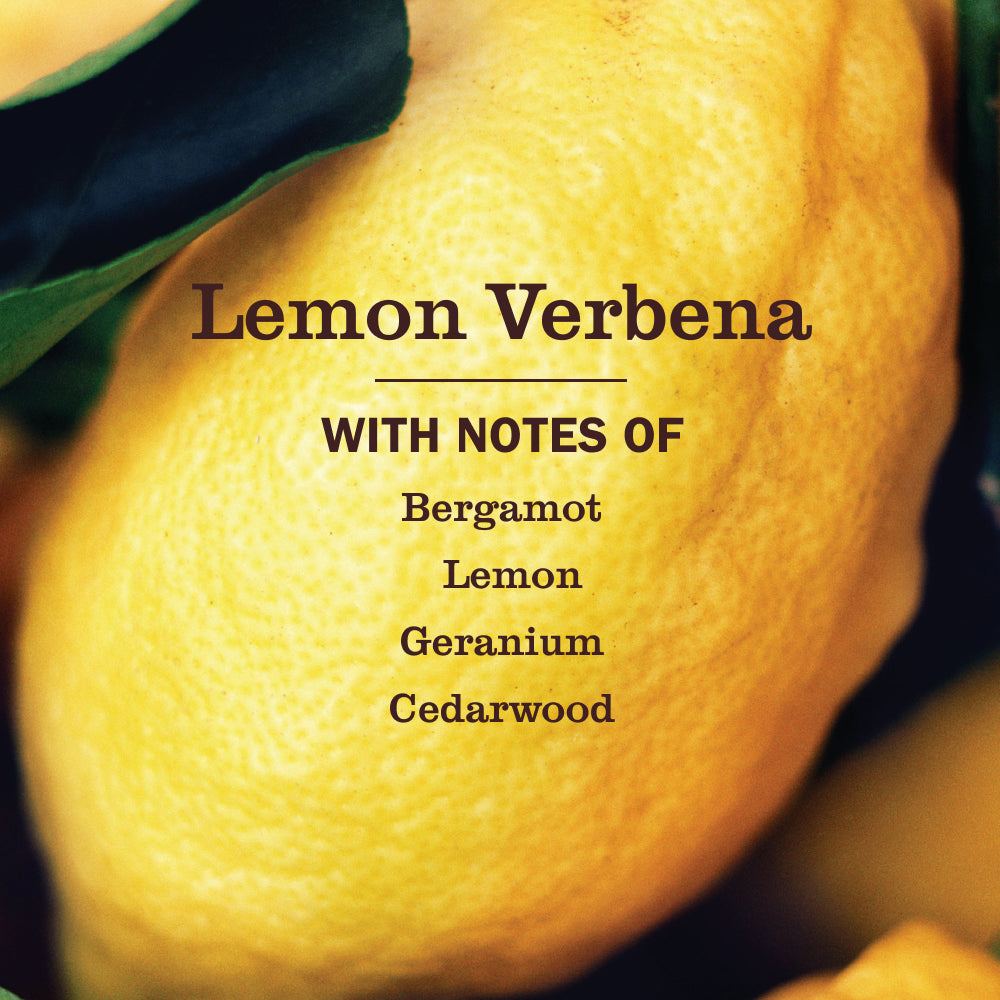 Lemon Verbena Multi-Surface Everyday Cleaner Concentrate Refill - 2 Pack - View 3