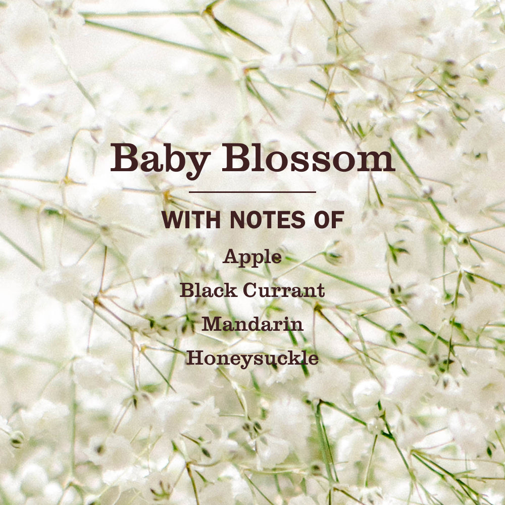 Baby Blossom Laundry Detergent - View 3