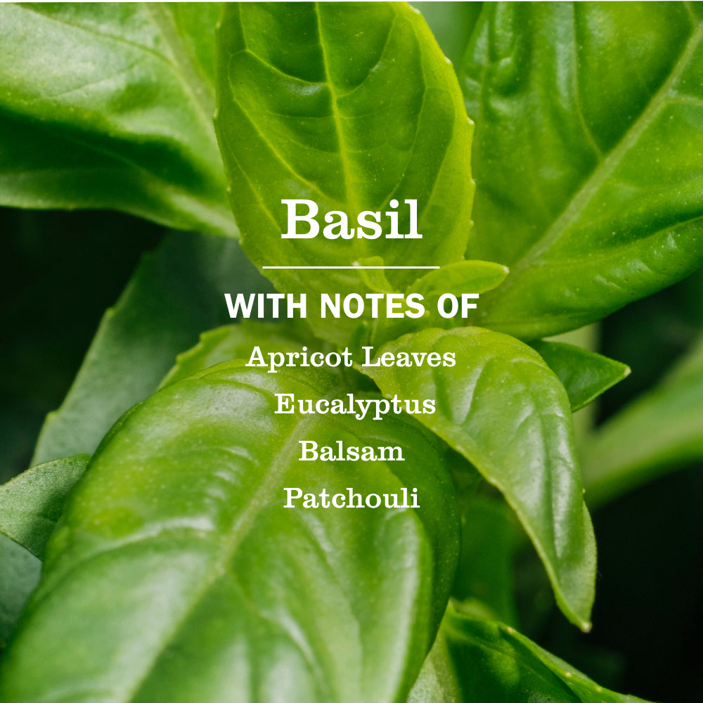 Basil Dryer Sheets - View 3