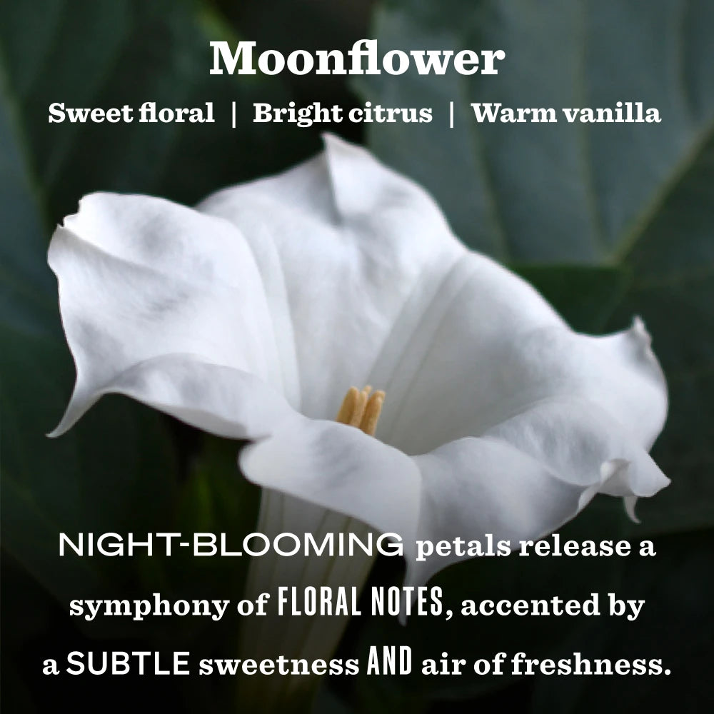 Moonflower Garden Heirloom Candle - View 3