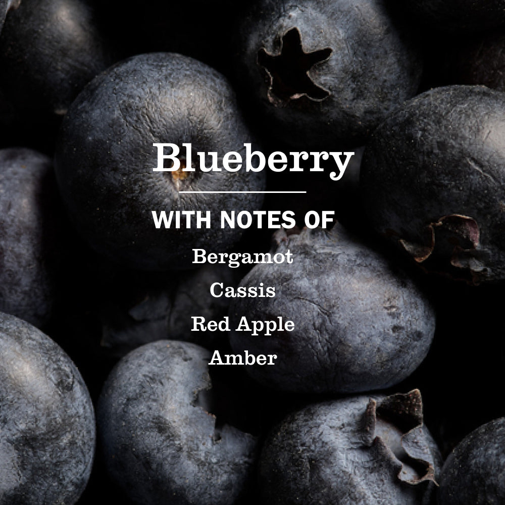 Blueberry Room Freshener - View 4