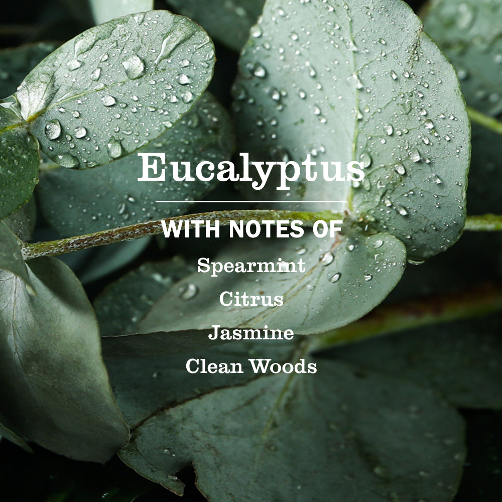 Eucalyptus Multi-Surface Everyday Cleaner - View 4