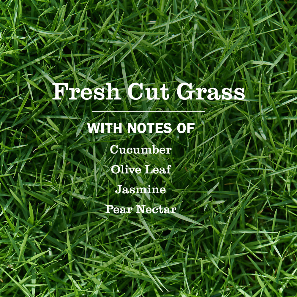 Fresh Cut Grass Plug In Scented Oil Refill, 2-Pack - View 4