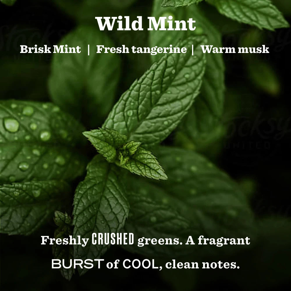 Wild Mint Garden Heirloom Candle - View 3