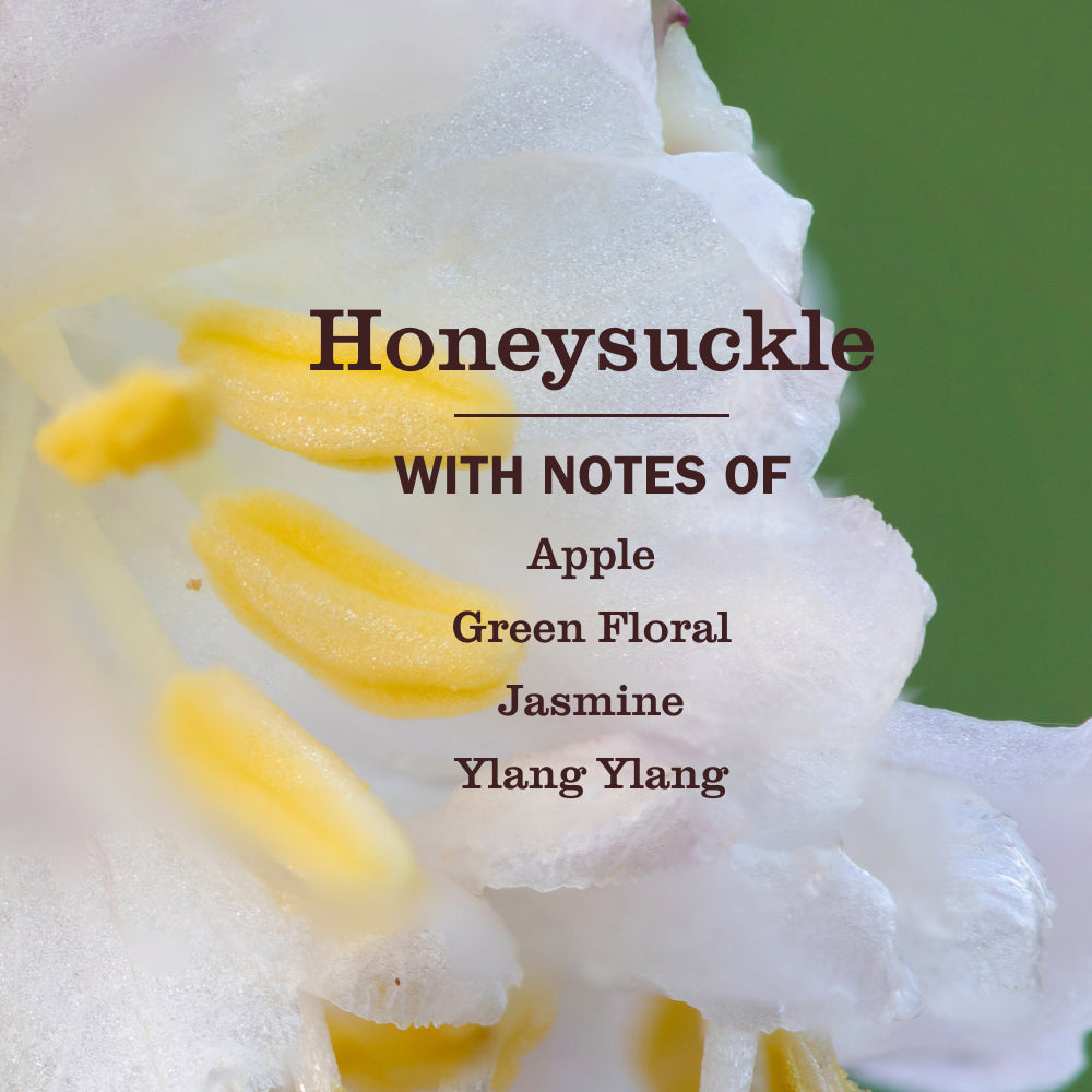 Honeysuckle Liquid Hand Soap & Refill Set - View 2