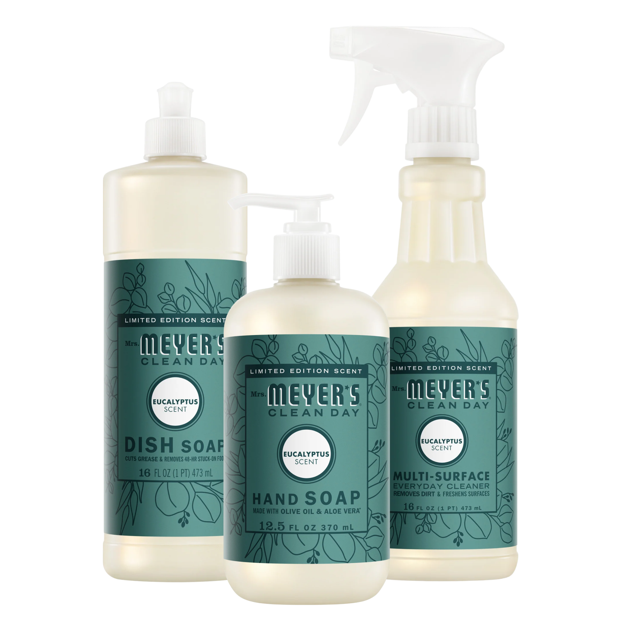 Eucalyptus Kitchen Basics Set