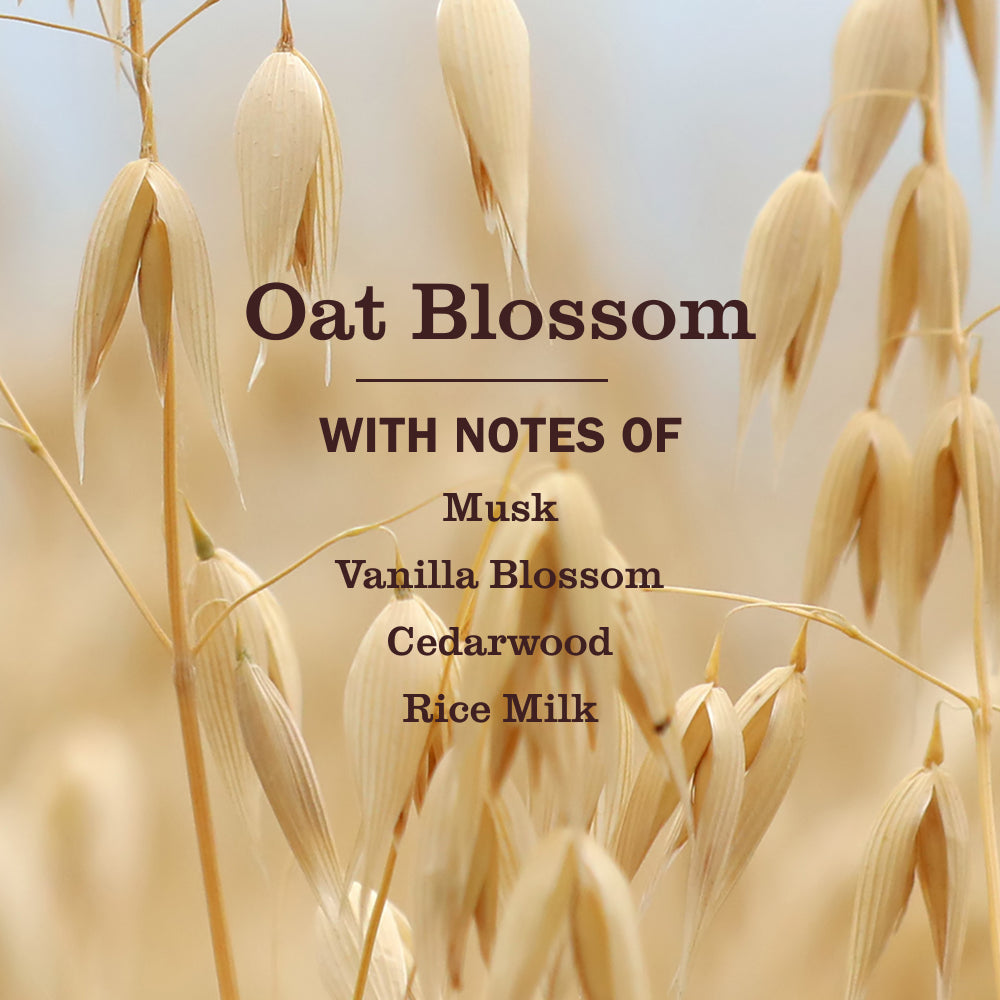 Oat Blossom Liquid Hand Soap - View 4