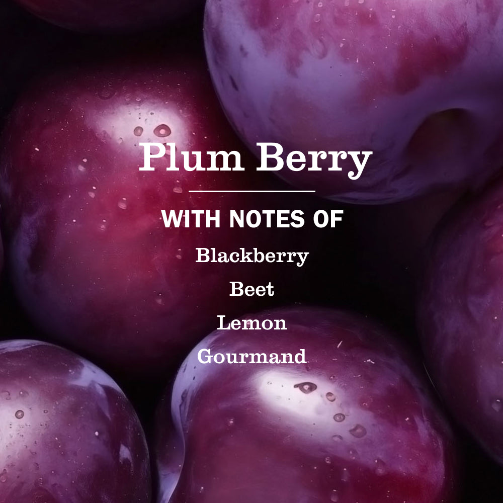 Plum Berry Liquid Hand Soap Refill - View 4