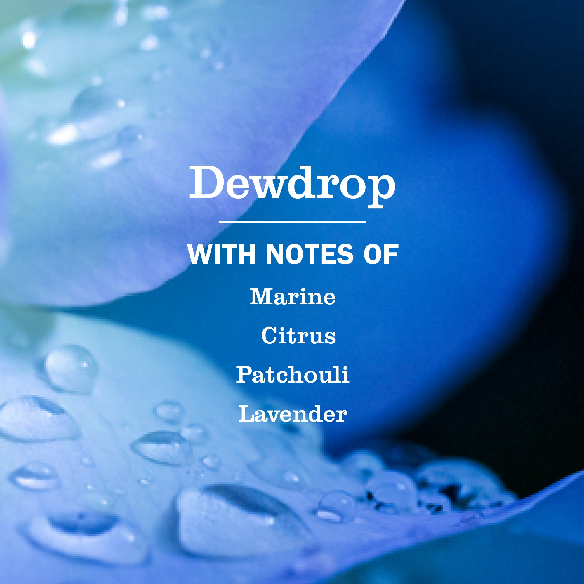 Dewdrop Multi-Surface Everyday Cleaner - View 4
