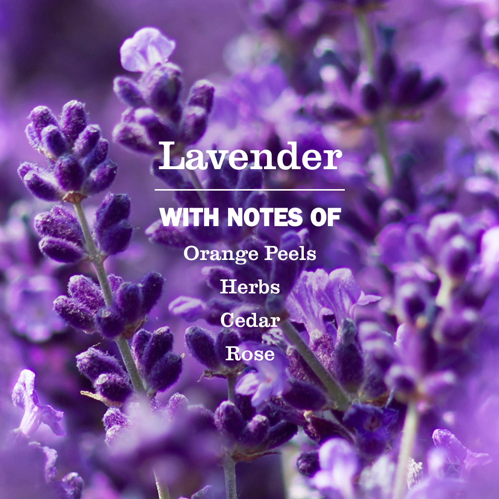 Lavender Probiotic Drain Maintenance - View 3