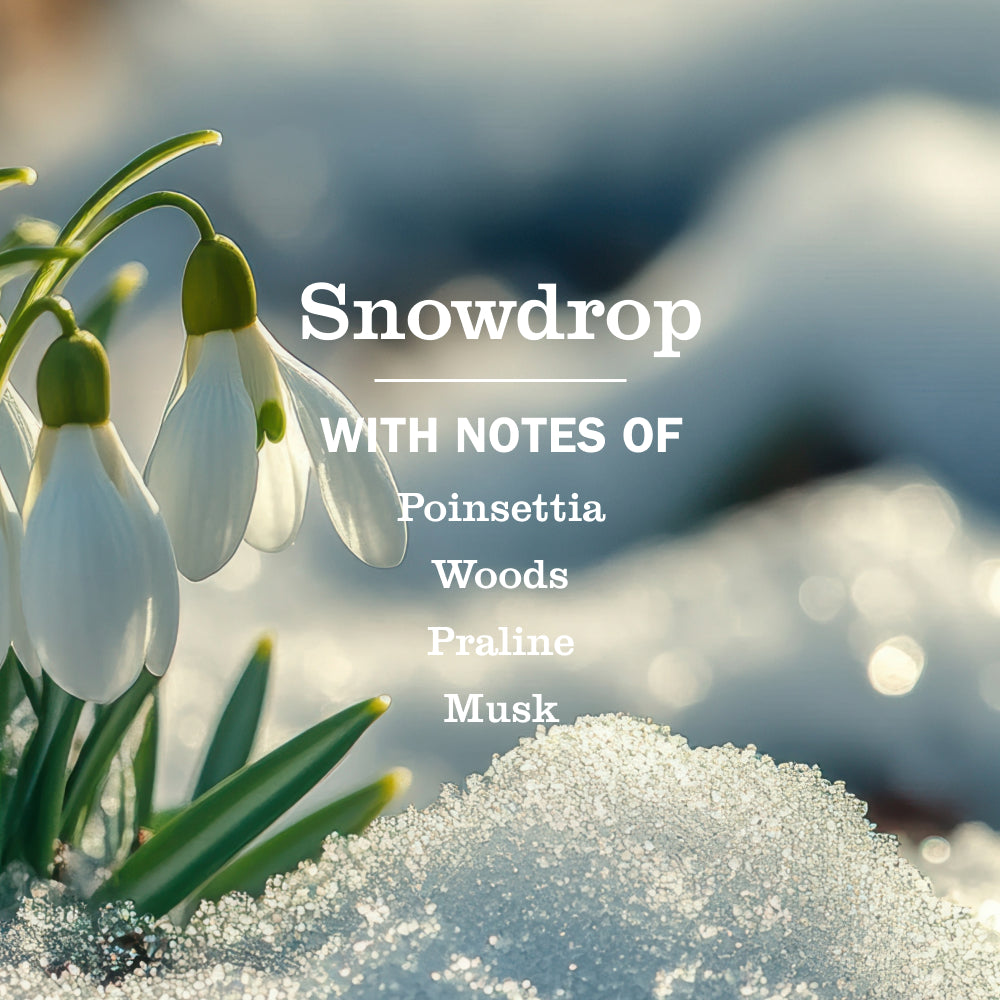 Snowdrop Liquid Hand Soap - View 4