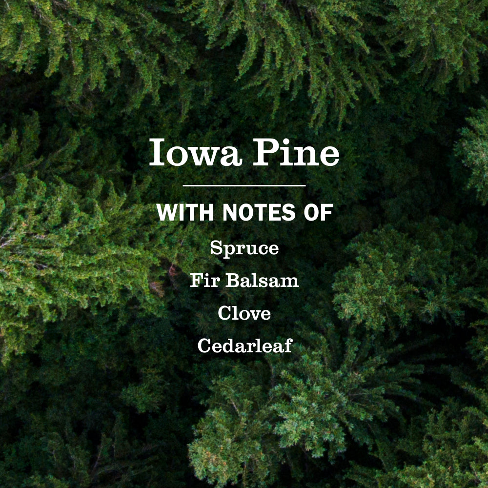 Iowa Pine Dish Soap - View 4