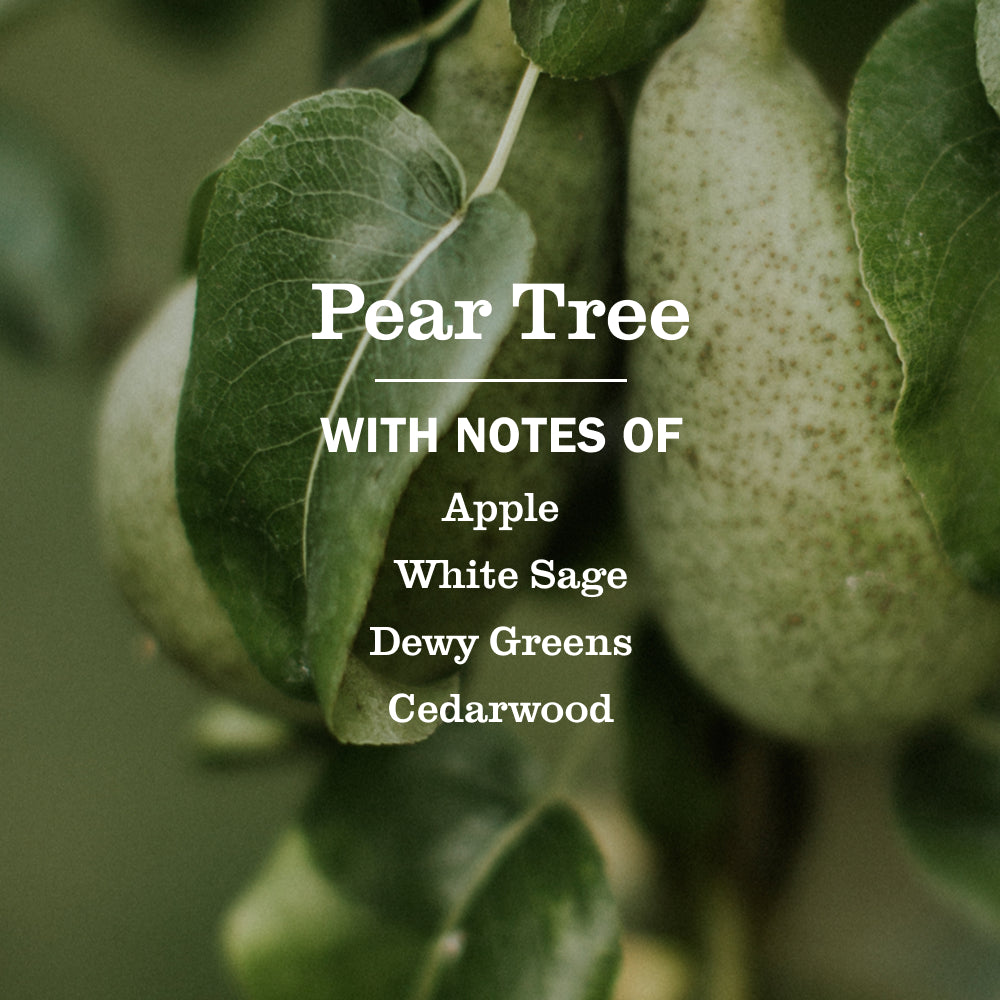 Pear Tree Liquid Hand Soap - View 4