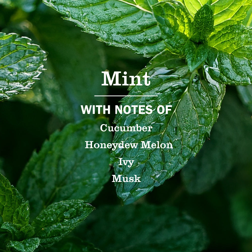 Mint Dish Soap - View 4