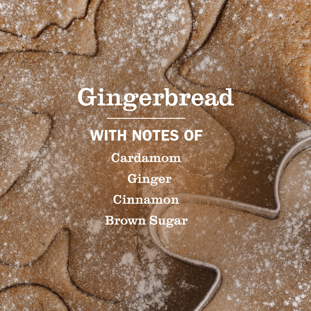 Gingerbread Dish Soap - View 4