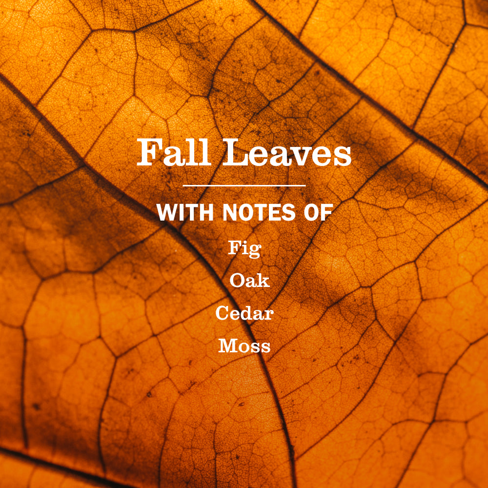 Fall Leaves Multi-Surface Everyday Cleaner 3-count Bundle - View 4