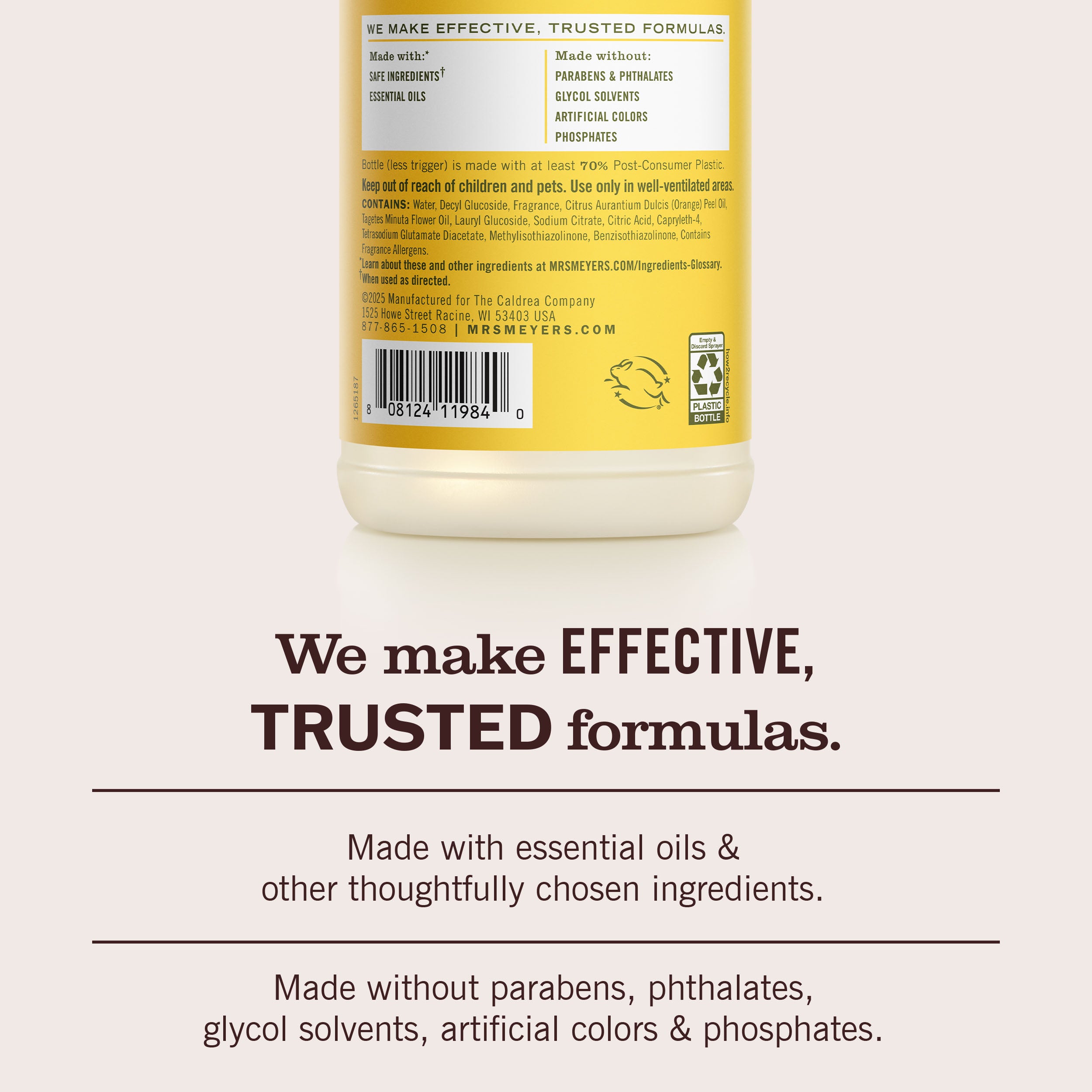 Dandelion Multi-Surface Everyday Cleaner - View 6